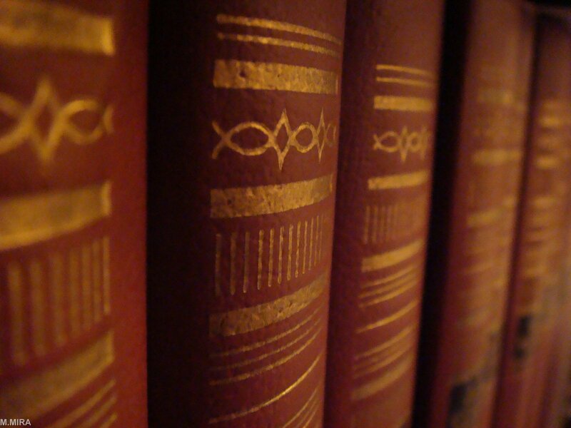 row of books on shelf