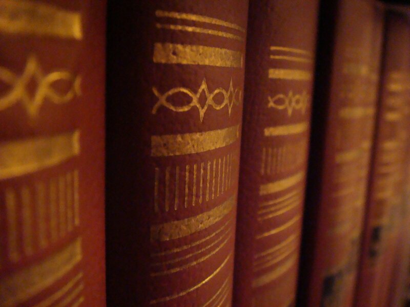 row of books on shelf