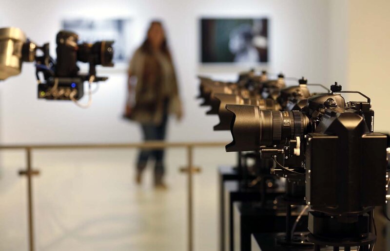 Row of Cameras in Gallery