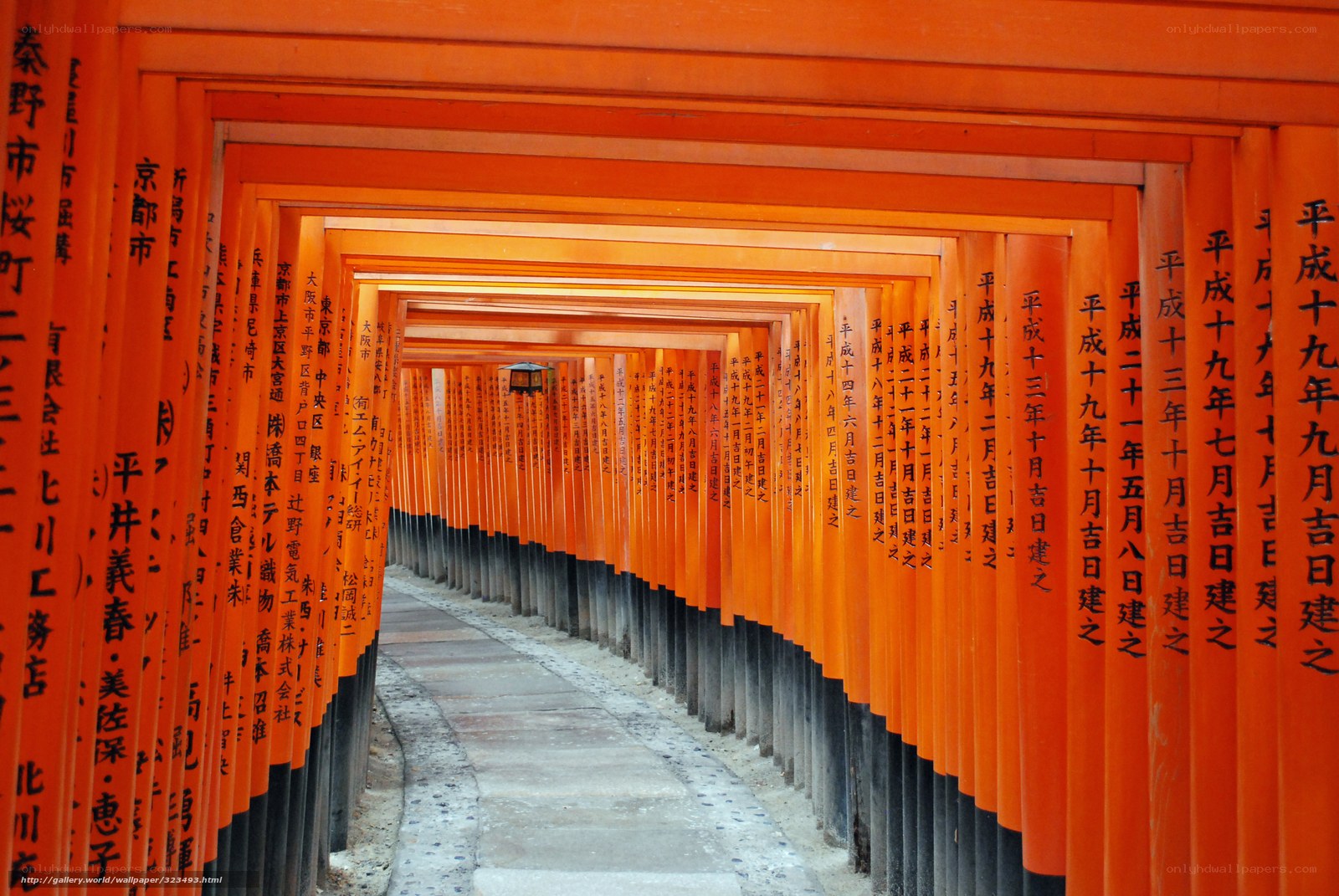 Row of orange torii gates