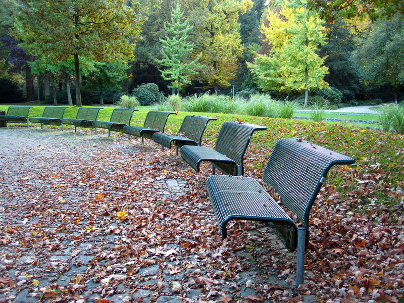 Row of Park Benches — Green