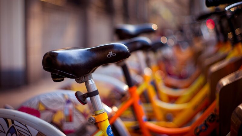 Row of Rental Bikes