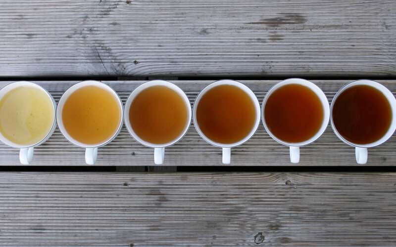 Row of Tea Cups — Brown