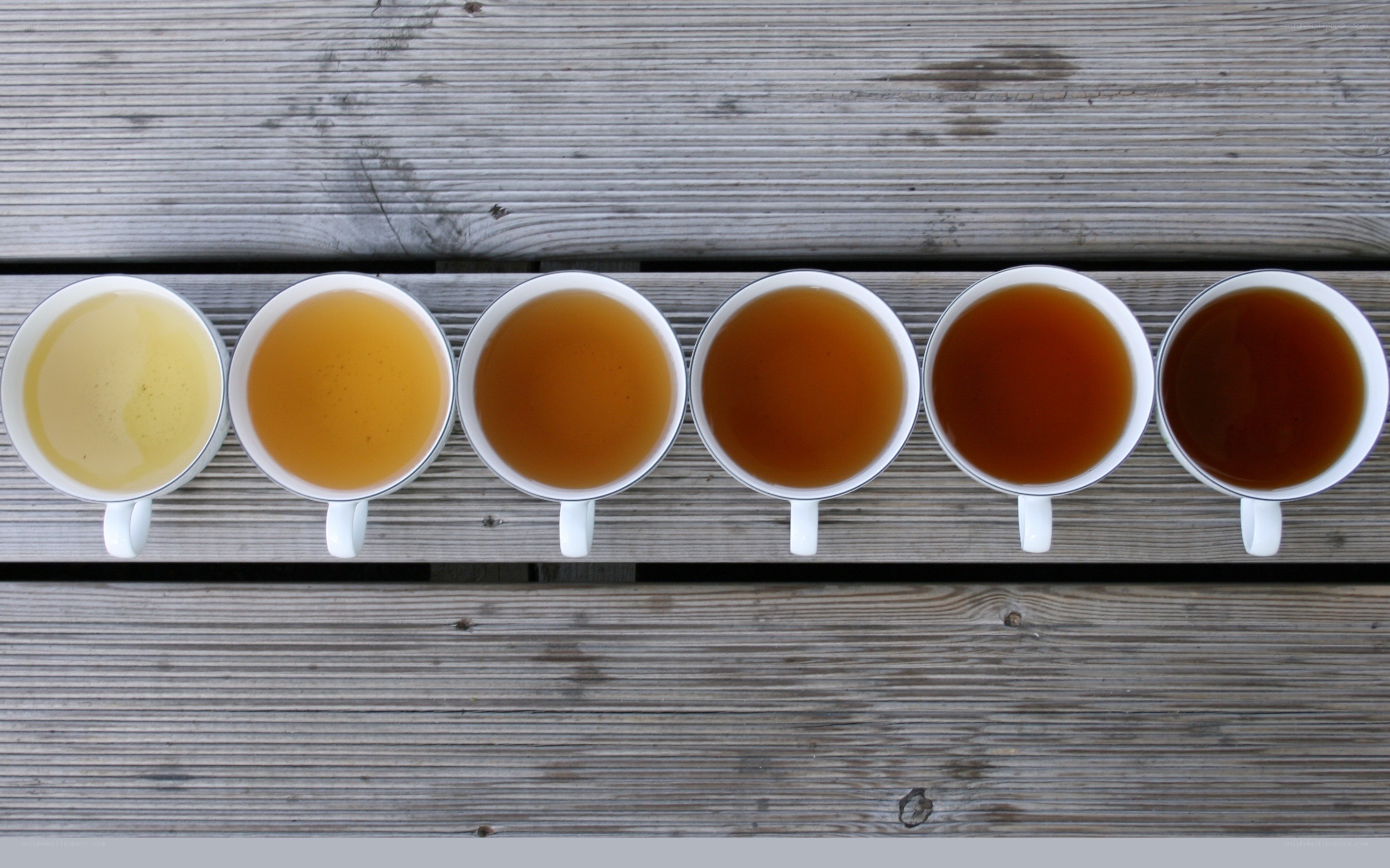 row of tea cups
