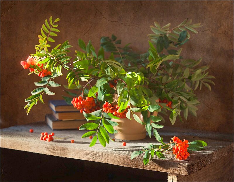 Rowan Berries in Vase — Brown