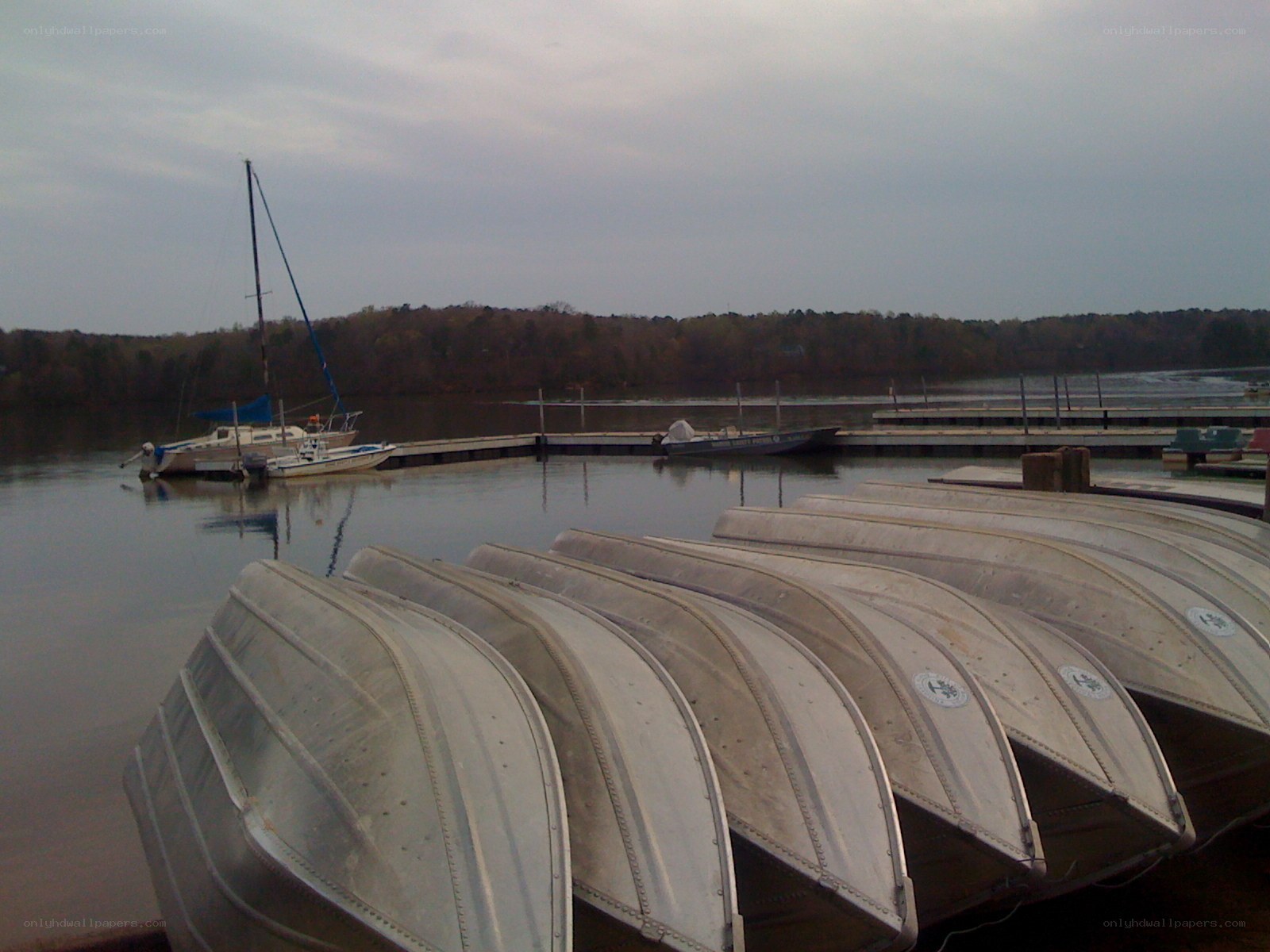 Rowboats at a marina