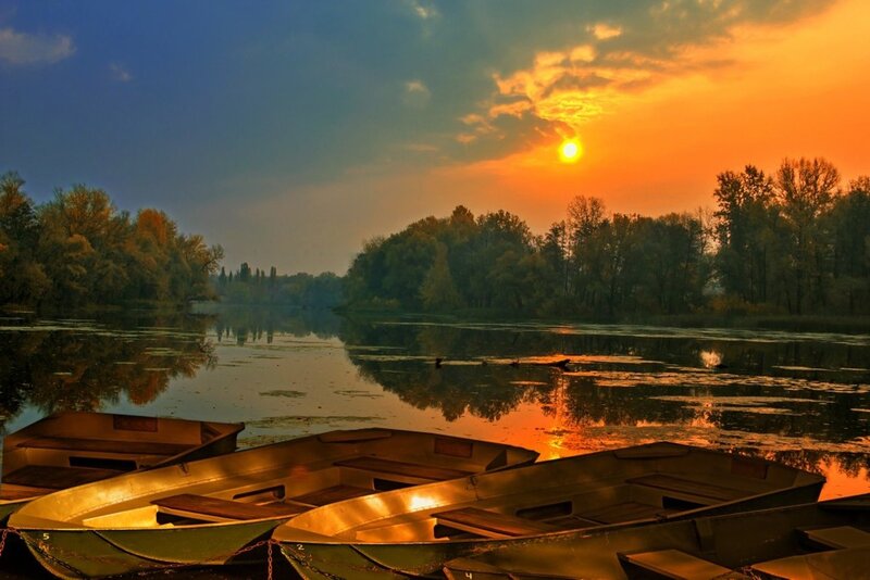 Rowboats on a Lake — Orange