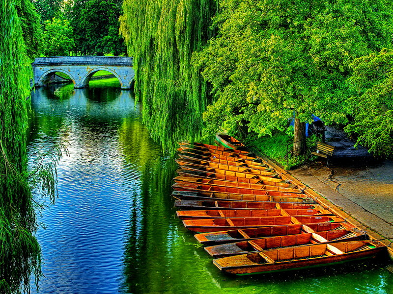 Rowboats on a River — Green