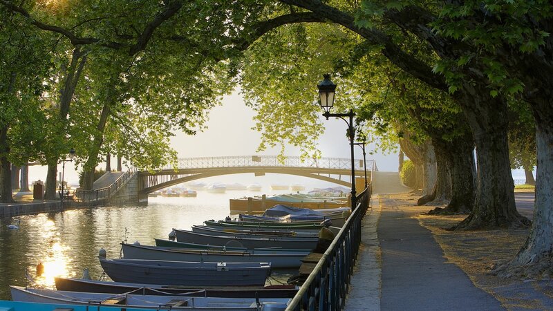 Rowboats on a River