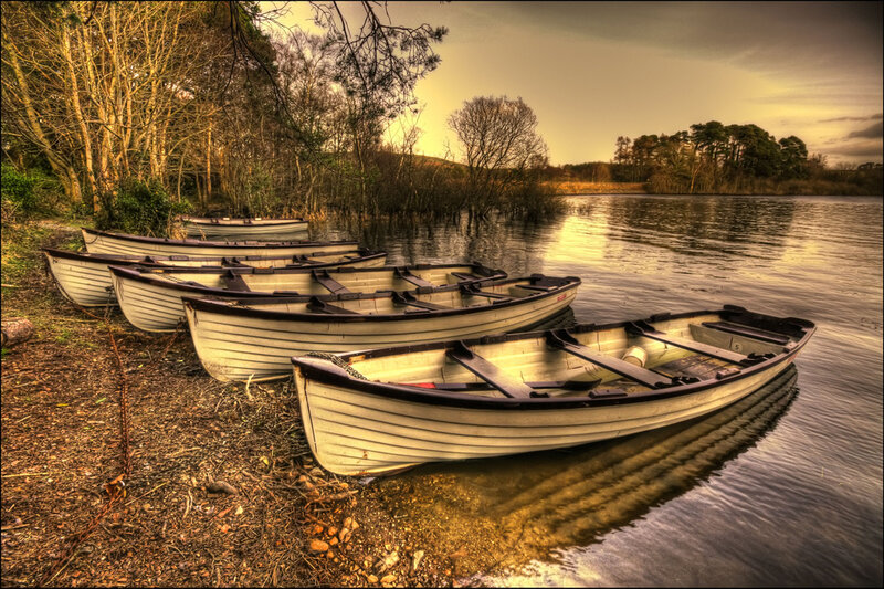 Rowboats on Lake Shore