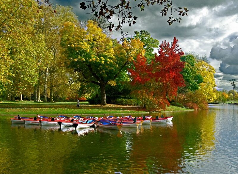 Rowboats on Lake