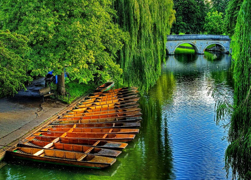 Rowboats on Riverbank — Green, Serene
