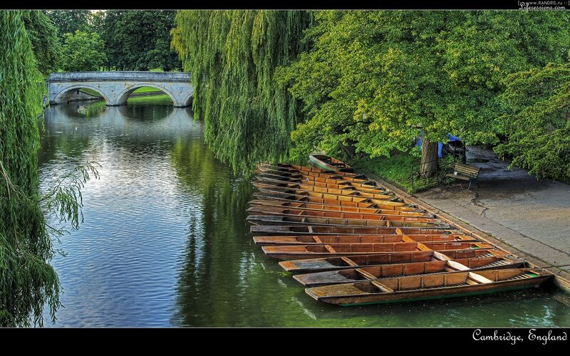 Rowboats on Riverbank — Green