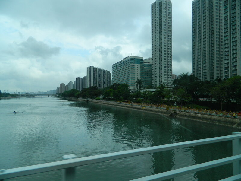 Rower on River — Gray