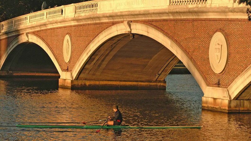 Rower under Bridge