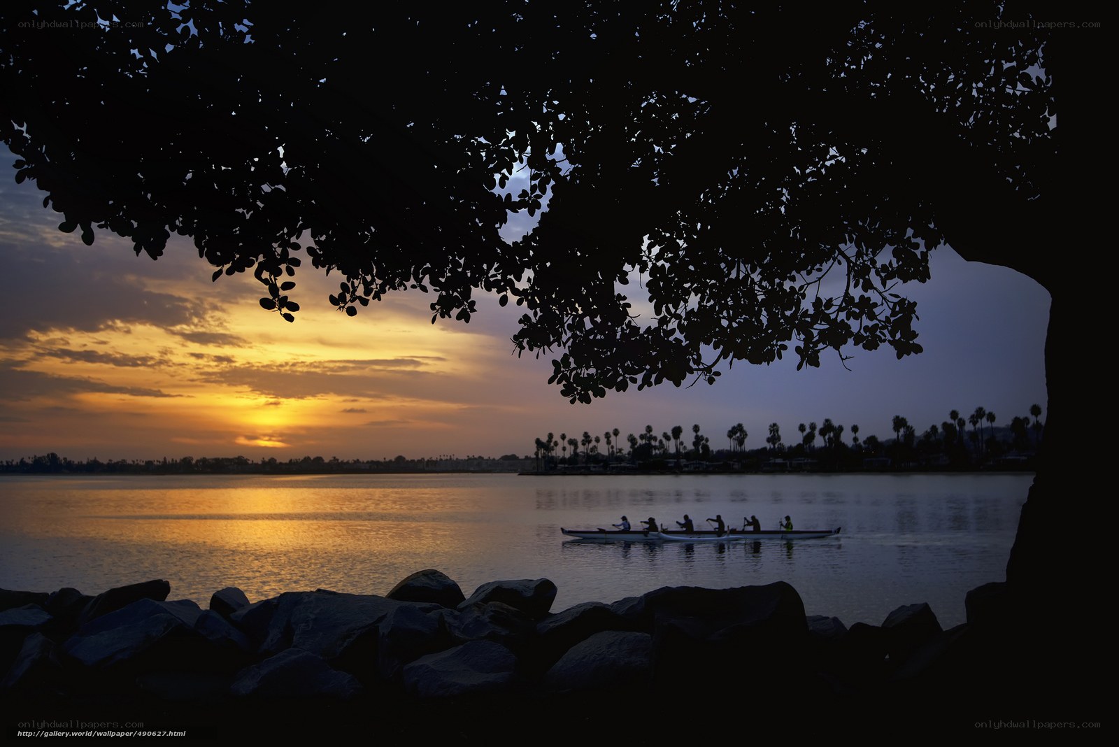 Rowers at sunset on a calm lake