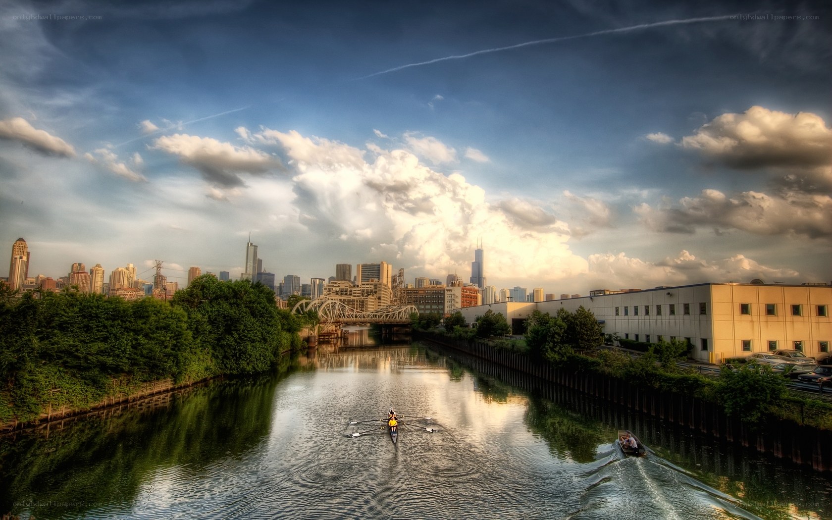 Rowers on a city river