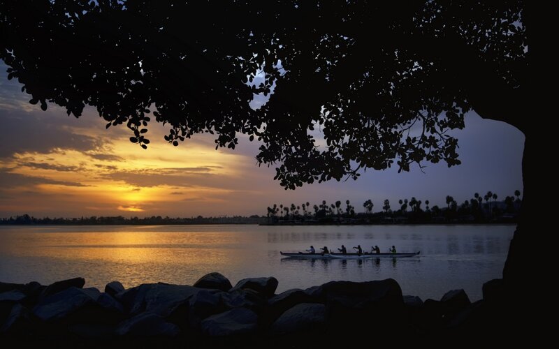 Rowers on a Lake — Yellow