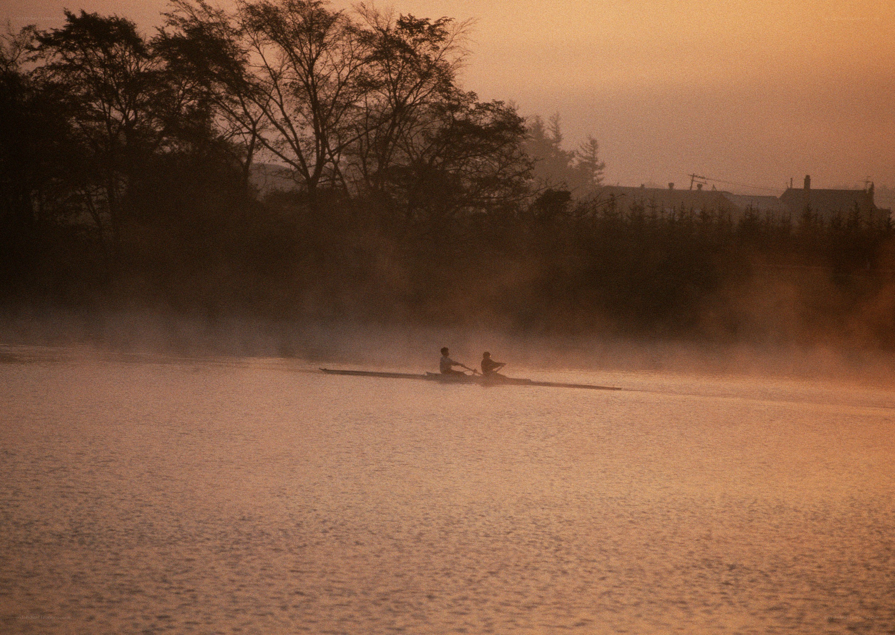 Rowers on a misty river