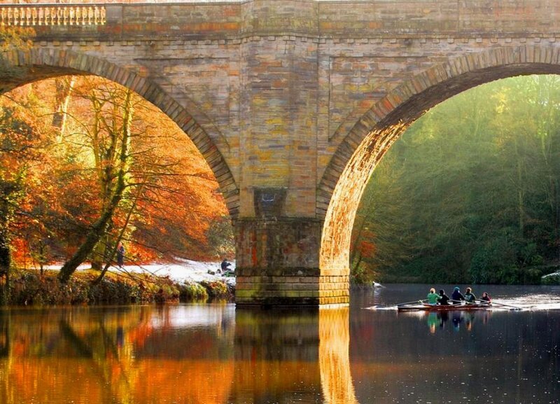 Rowers on a River — Orange