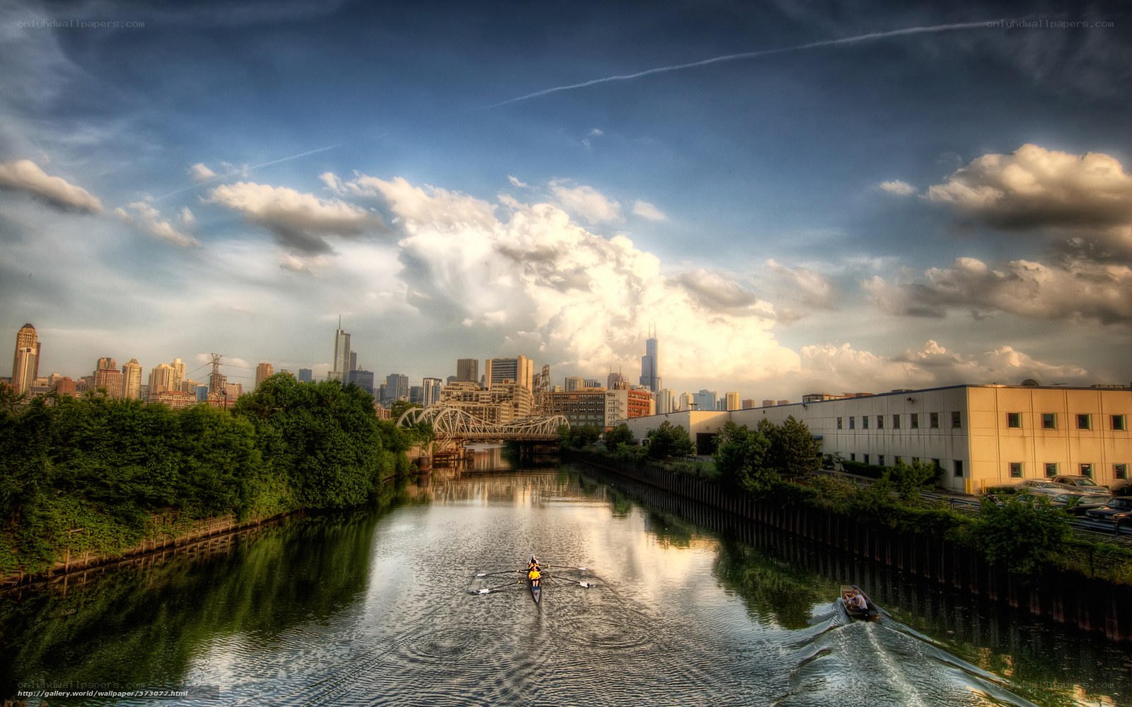 Rowers on Chicago River