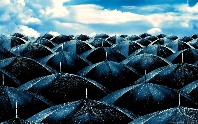 Rows of black umbrellas in rain