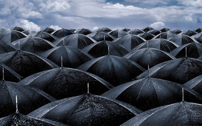 Rows of black umbrellas in rain