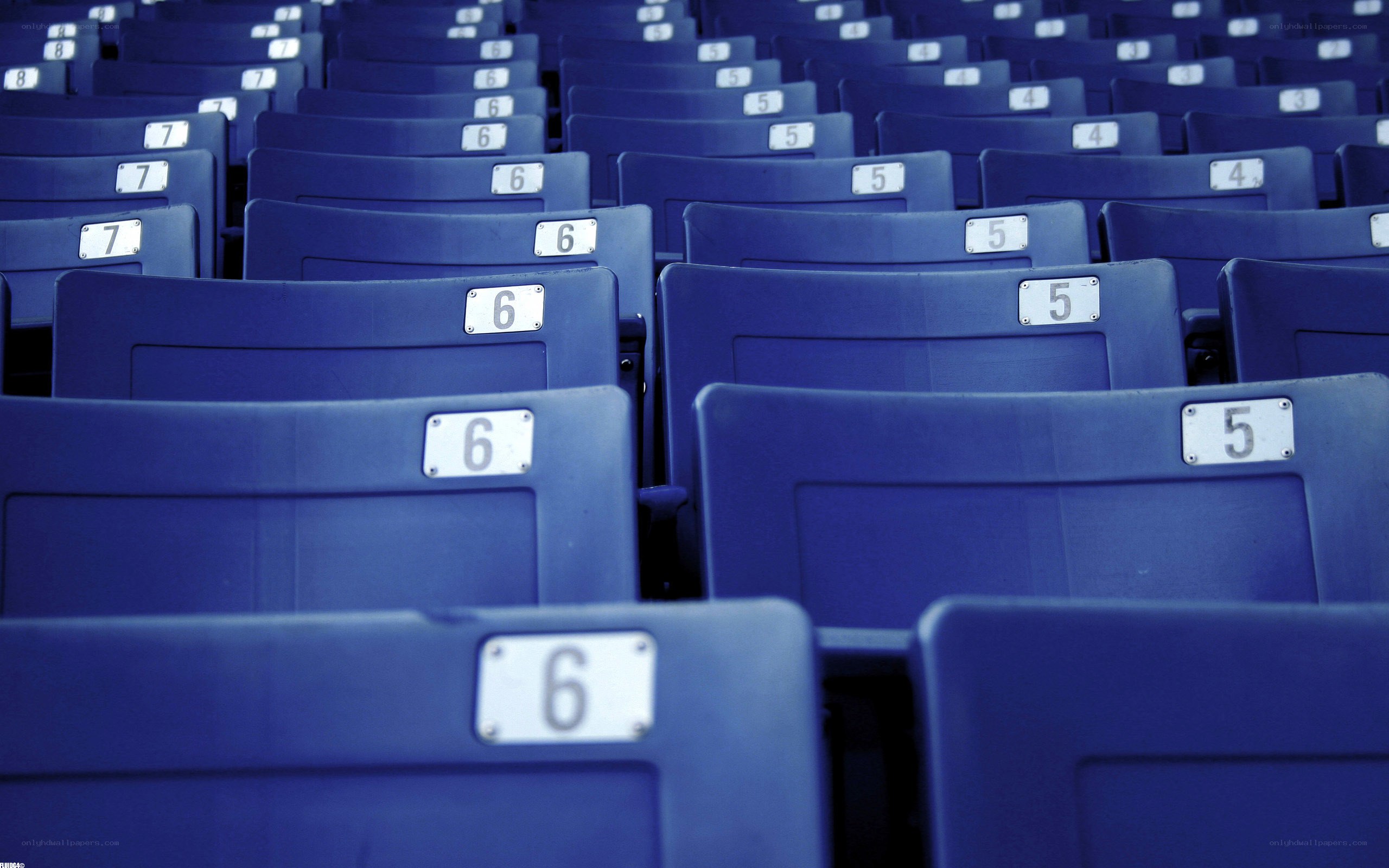 Rows of blue stadium seats