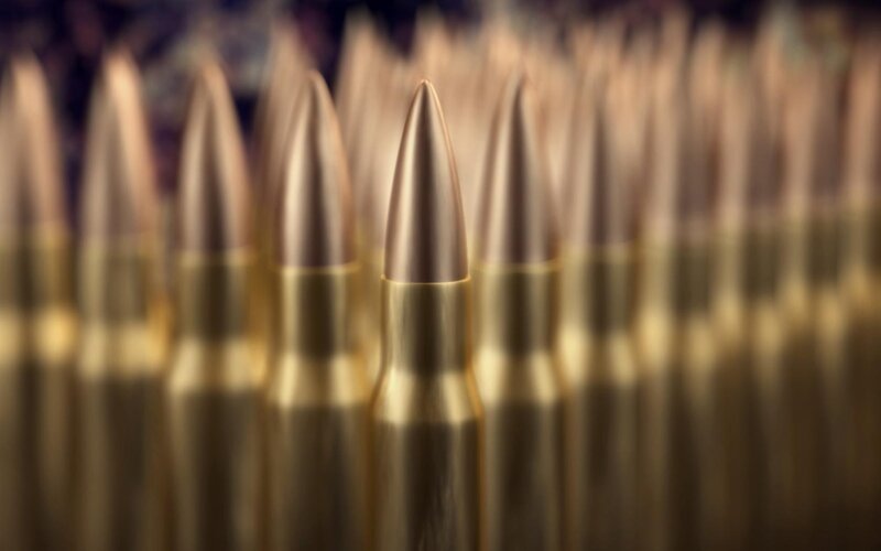 Rows of Bullets — Brown