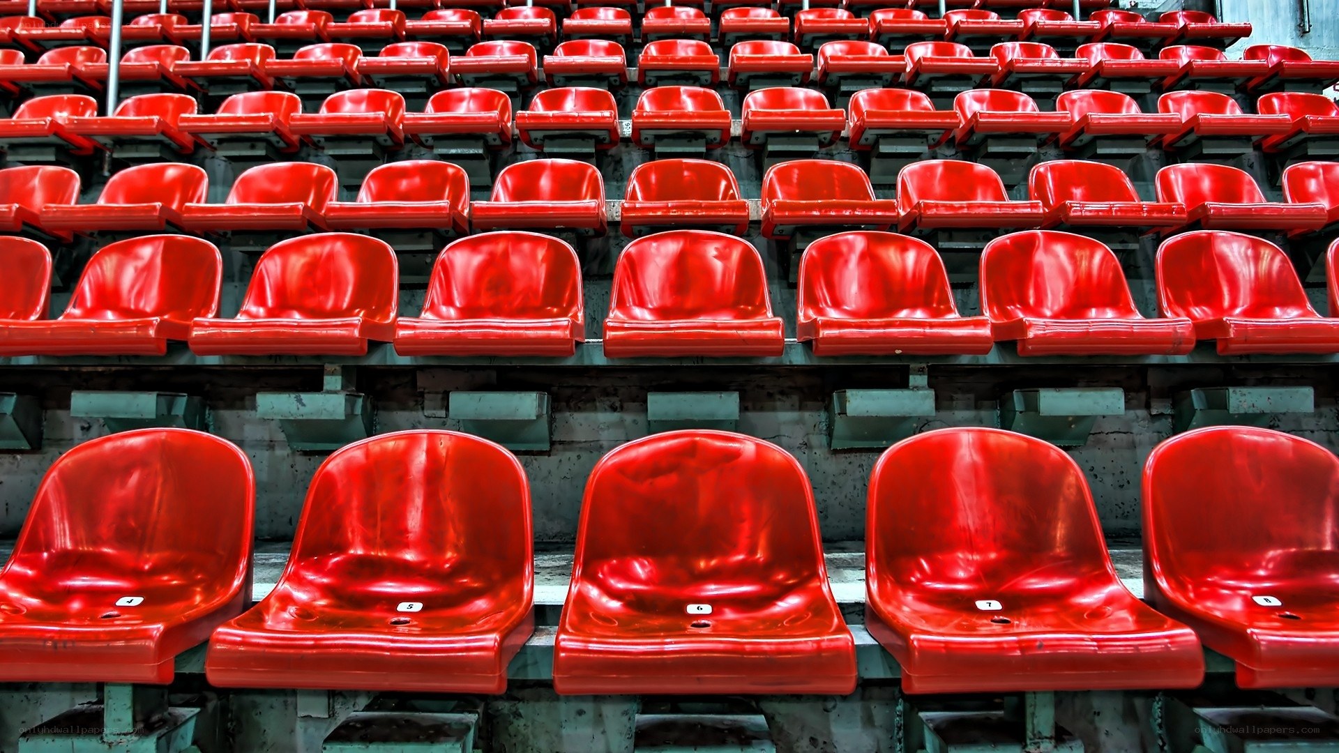 Rows of empty red stadium seats