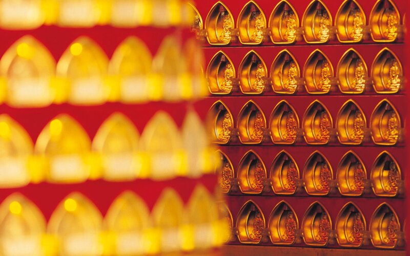 Rows of golden Buddha statues