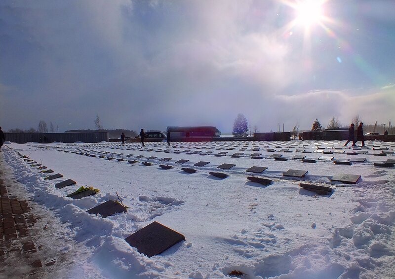 Rows of Graves in Snow