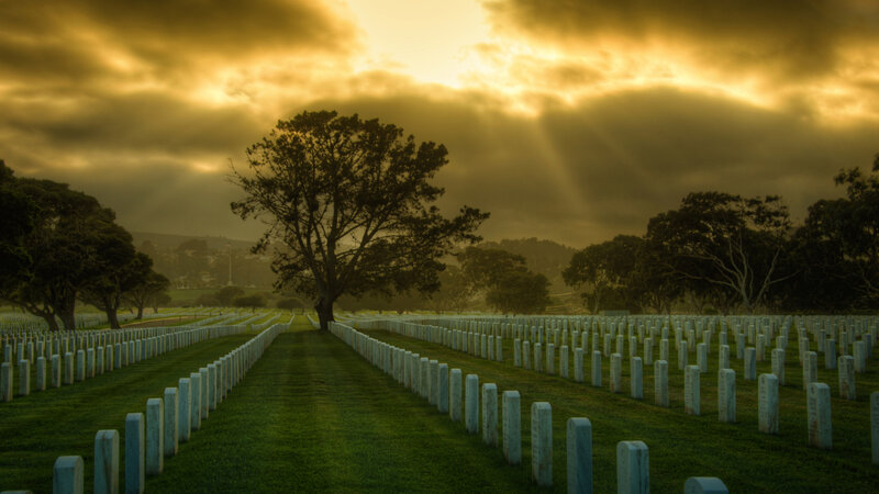 Rows of Gravestones in Cemetery
