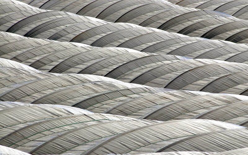 Rows of greenhouse roofs