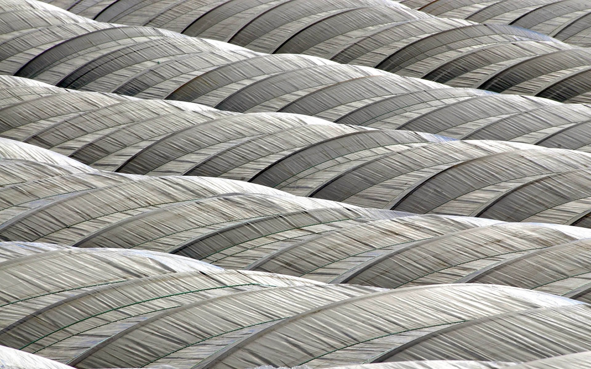 Rows of greenhouse roofs