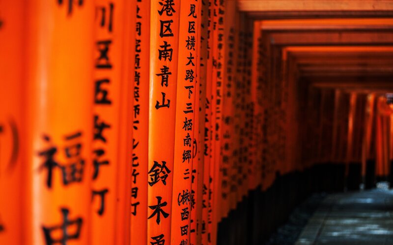 Rows of orange torii gates