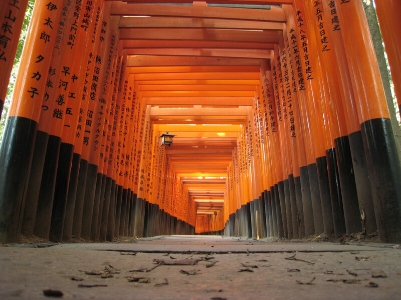 Rows of Orange Torii Gates — Serene, Afternoon