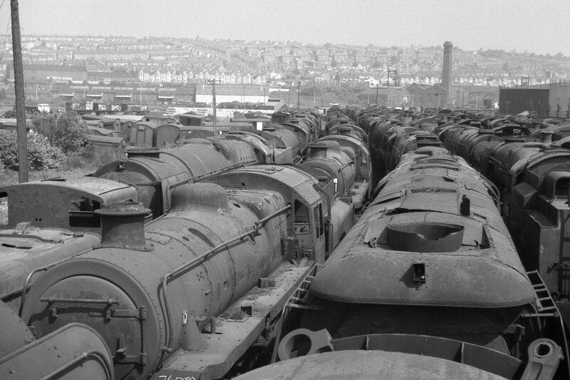 Rows of Steam Locomotives