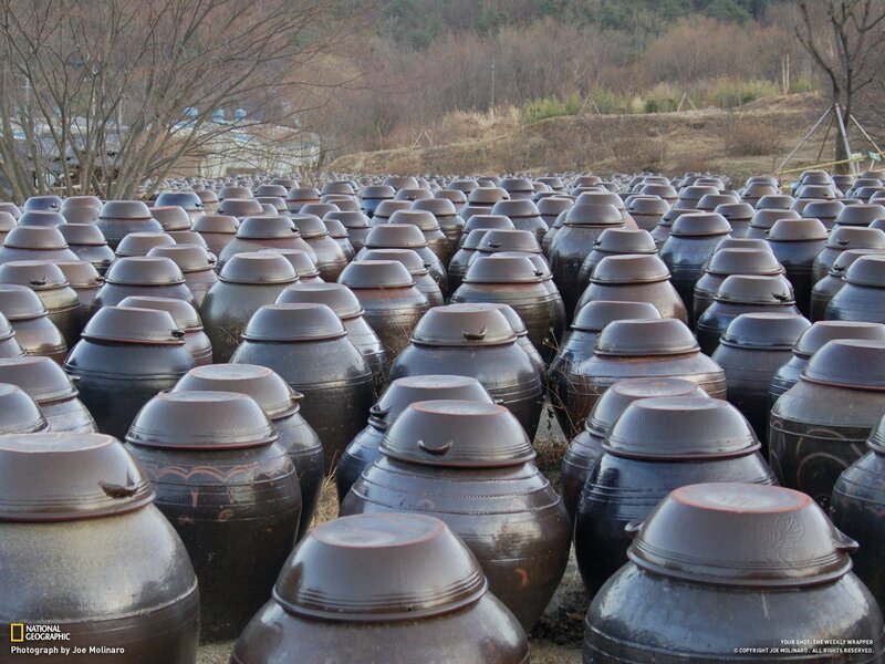 Rows of traditional Korean jars