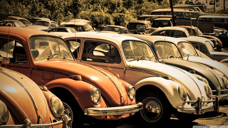 Rows of Vintage Volkswagen Beetles