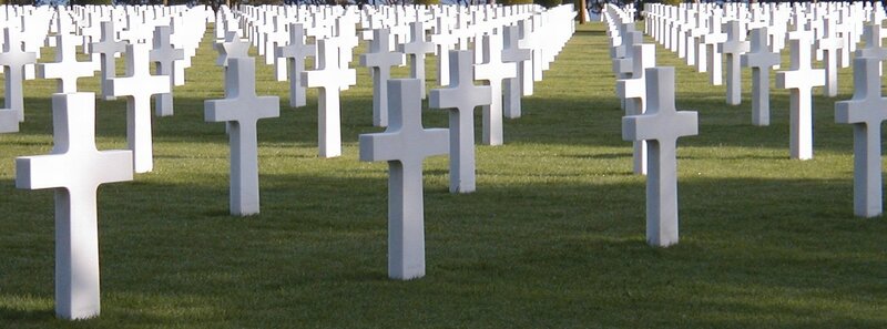 Rows of white crosses in a cemetery