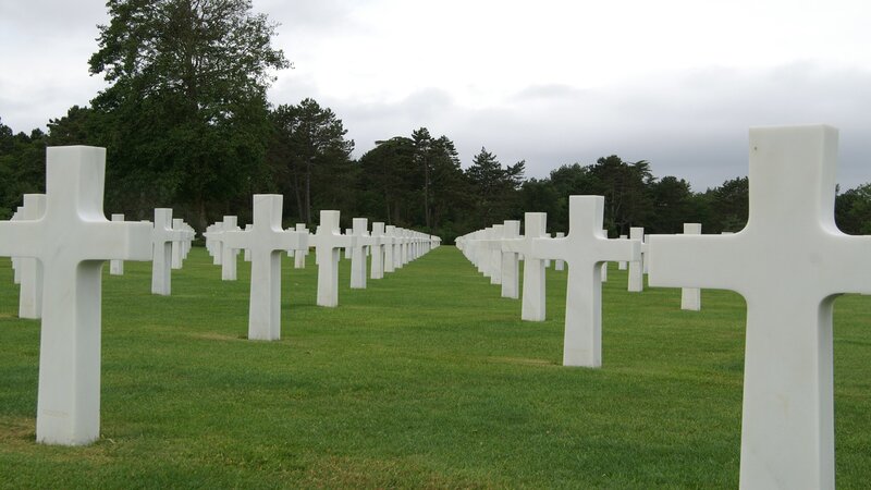 Rows of white crosses in a cemetery
