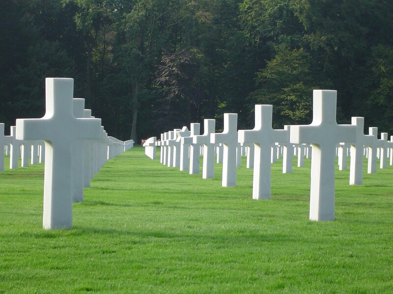 Rows of white crosses in a cemetery