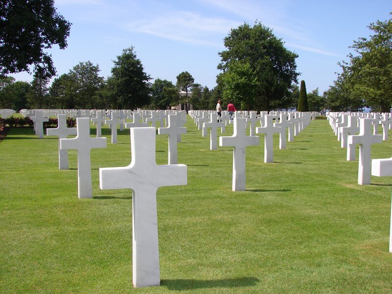 Rows of white crosses in a cemetery
