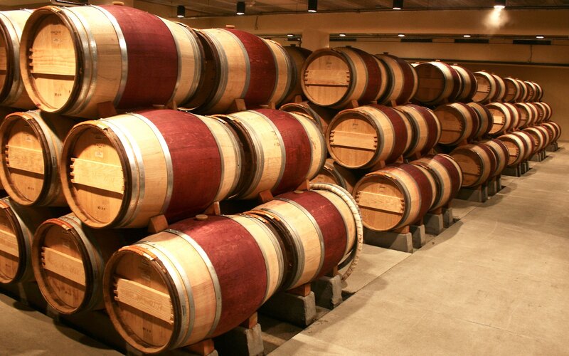 Rows of wine barrels in cellar