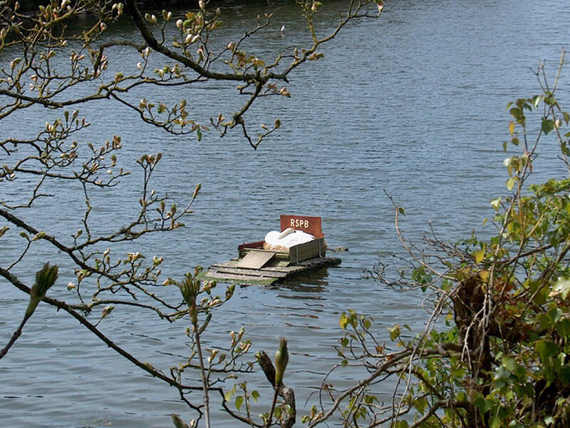 RSPB boat on a lake