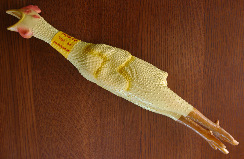 rubber chicken toy