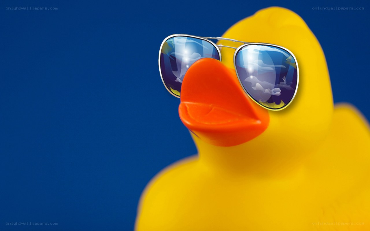 rubber duck with sunglasses