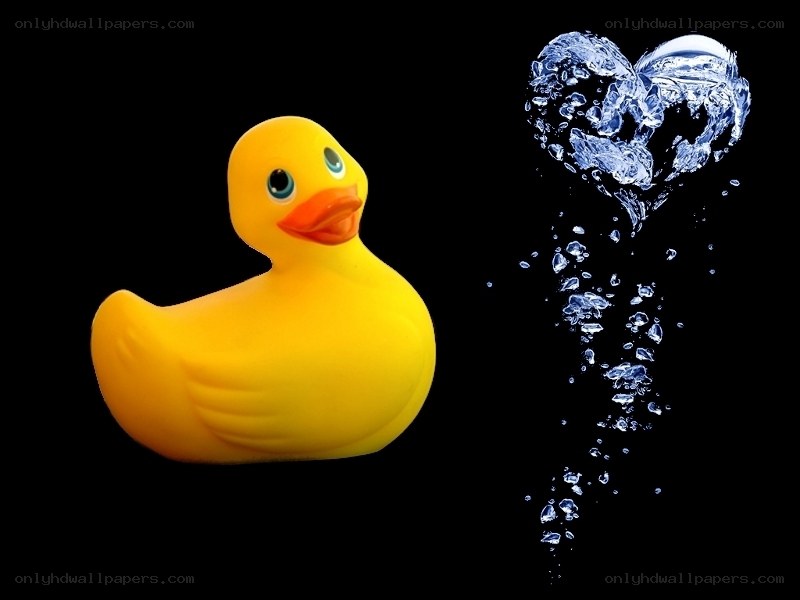 rubber duck with water heart