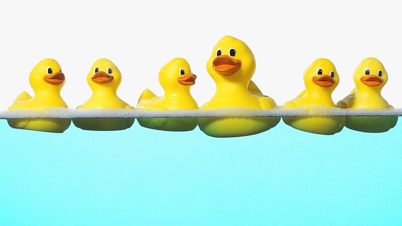 rubber ducks floating in water